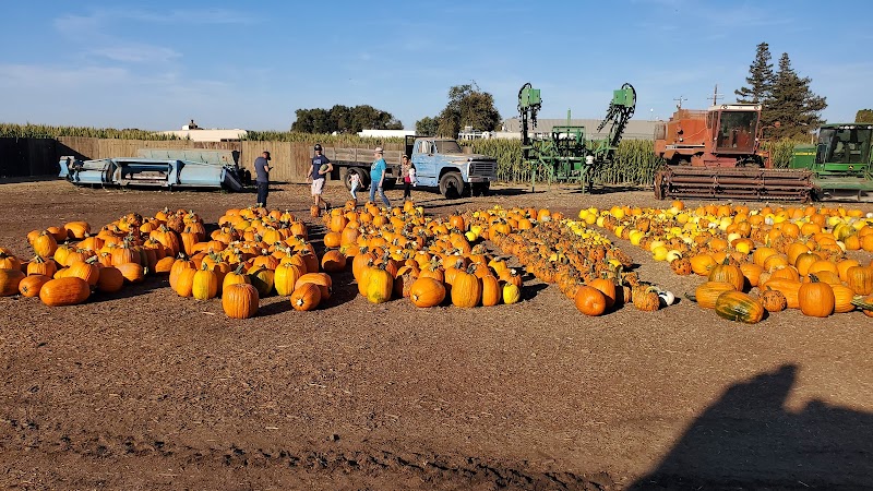 Vierra Farms