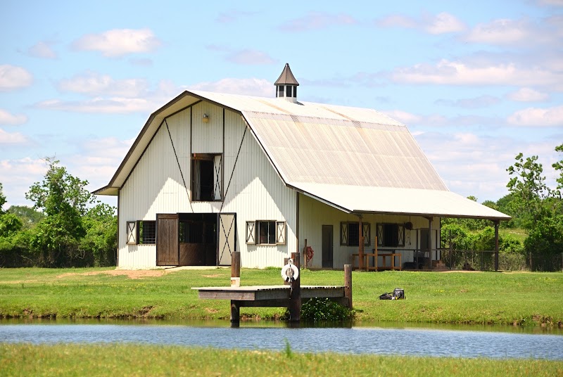 The Good Vibe Farm