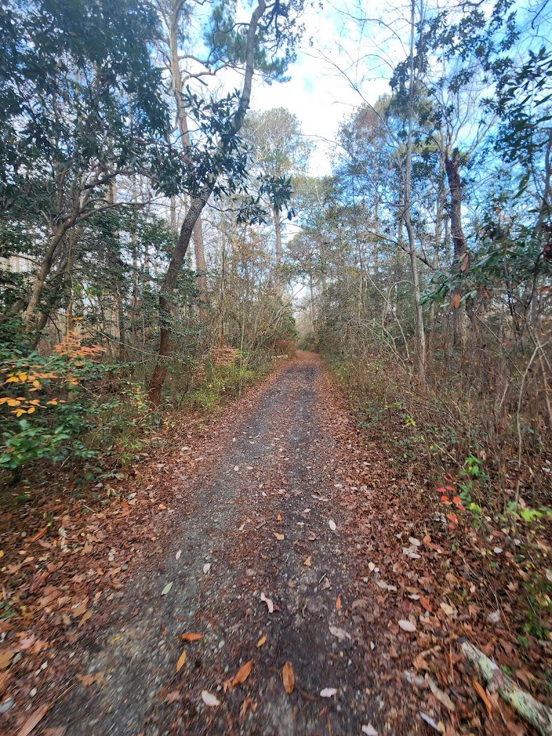 Cape Henry Trail