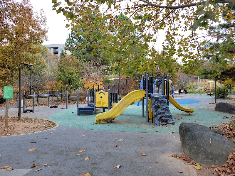 Historic Fourth Ward Park Playground