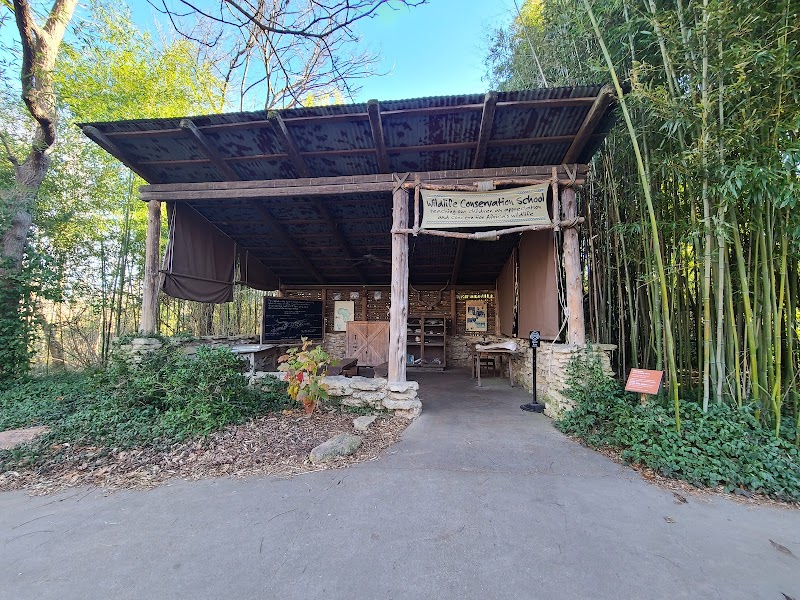 Wildlife Conservation School