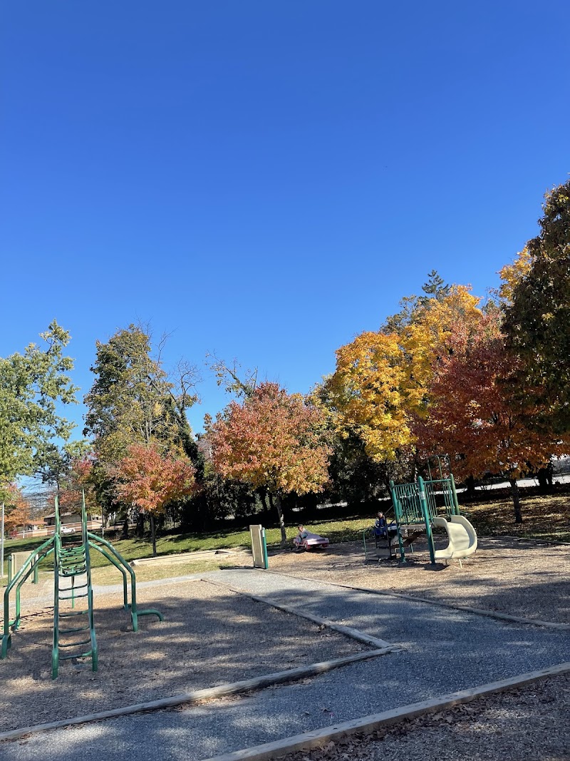 Dinosaur Playground