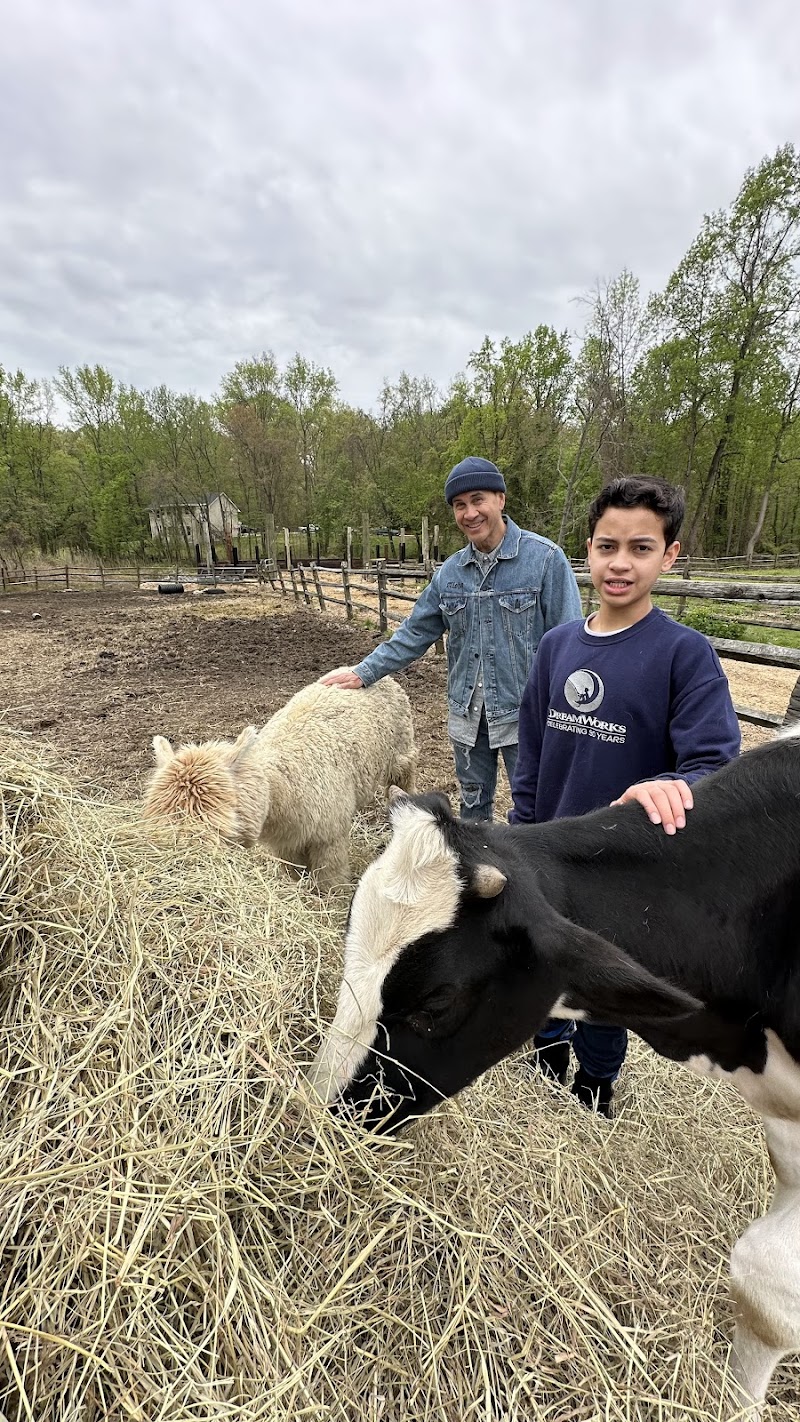 Wild Kid Acres, LLC