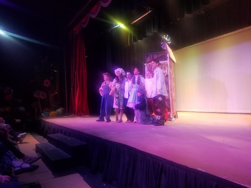 Tampa Bay Performing Arts Academy — Kids Theaters in Tampa