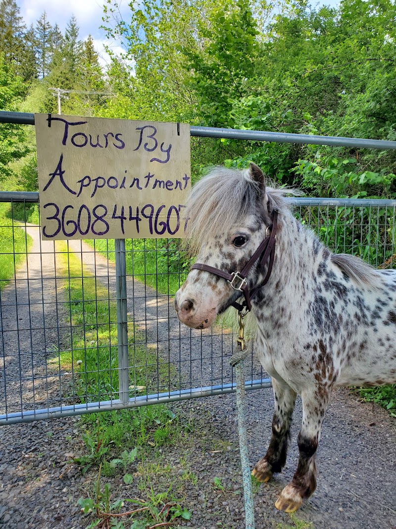 Little Animal Farm, LLC