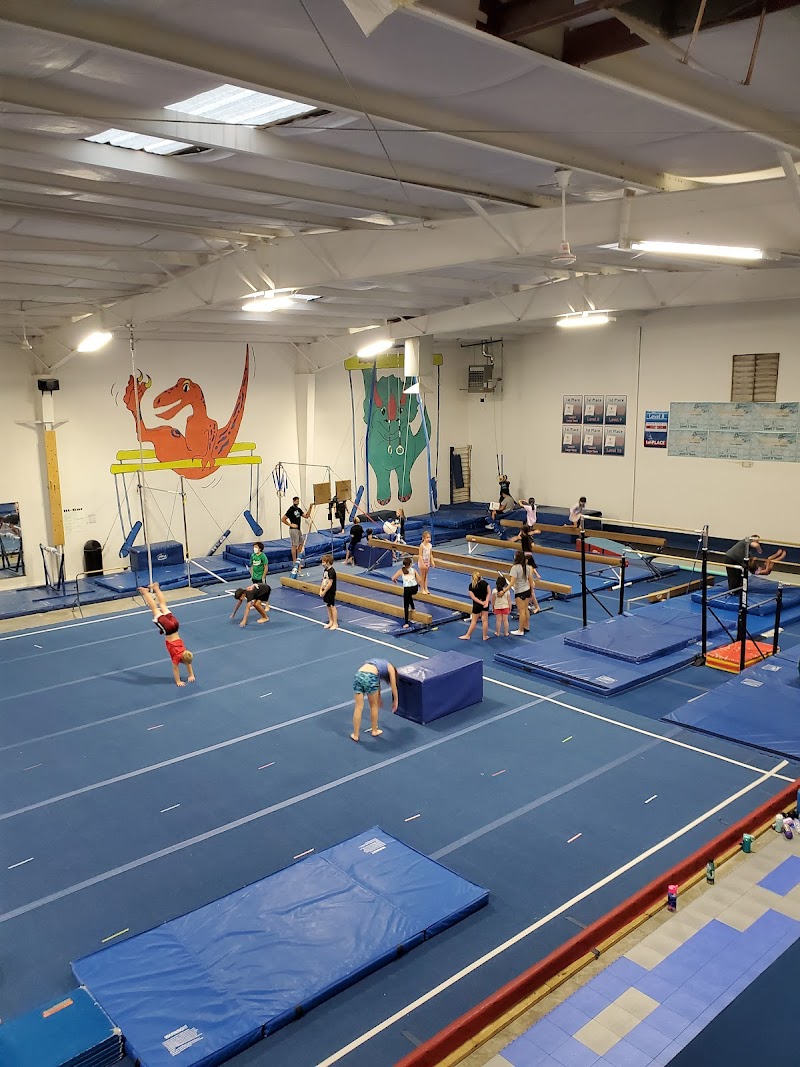 Gold Cup Gymnastics School