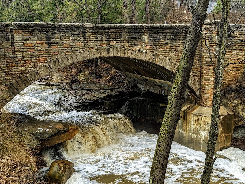 Brecksville Reservation