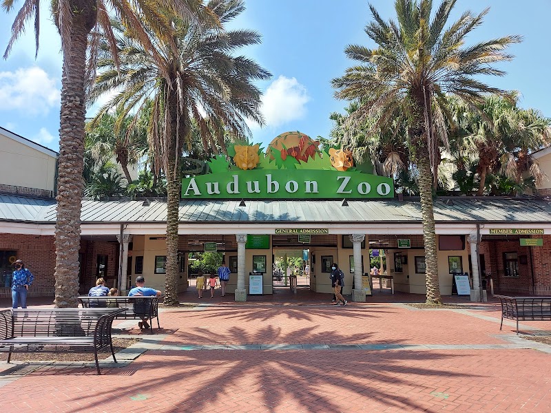 Audubon Zoo