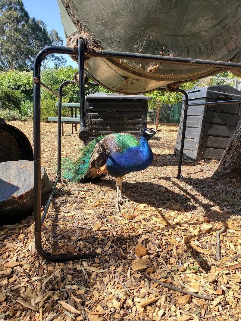 Loma Vista Farm