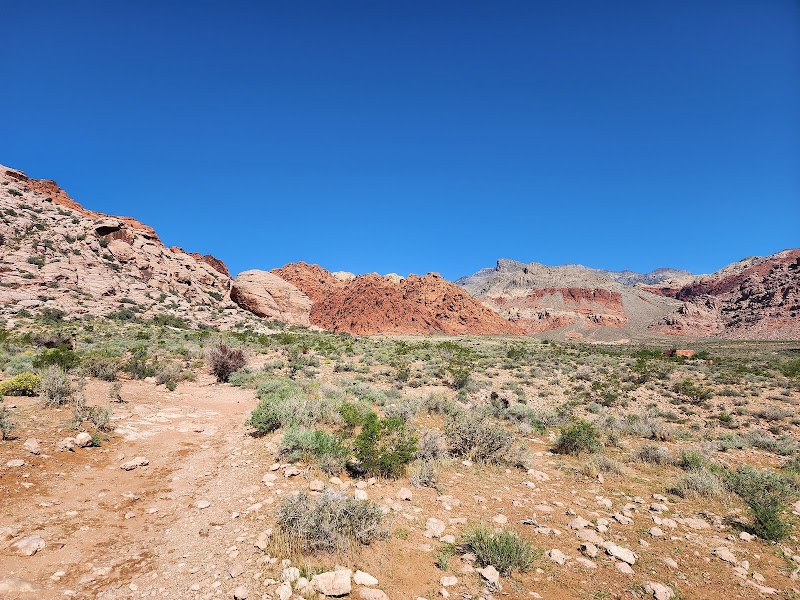 Calico Basin Trail — Hiking with Kids in Las Vegas
