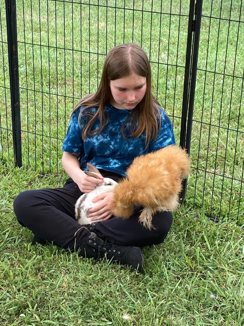 Kountry Kritters Mobile Petting Zoo