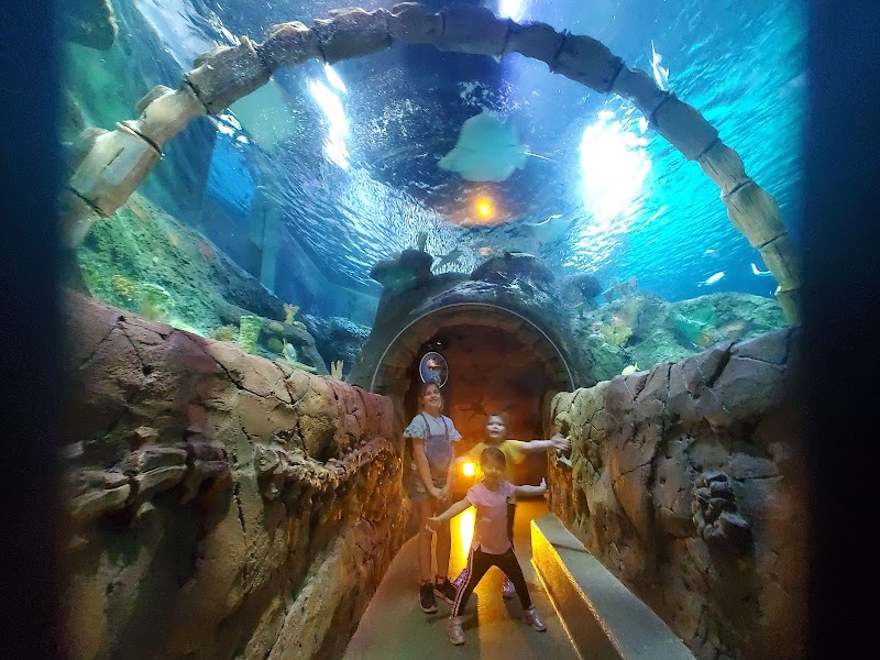 SEA LIFE Kansas City