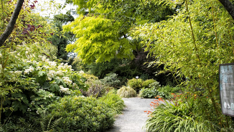 Bellevue Botanical Garden — Fall Festivals in Seattle