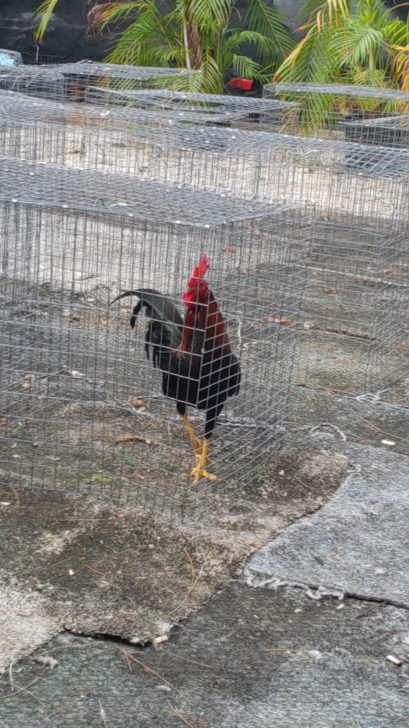 Preserve Farm — Petting Zoos in Miami