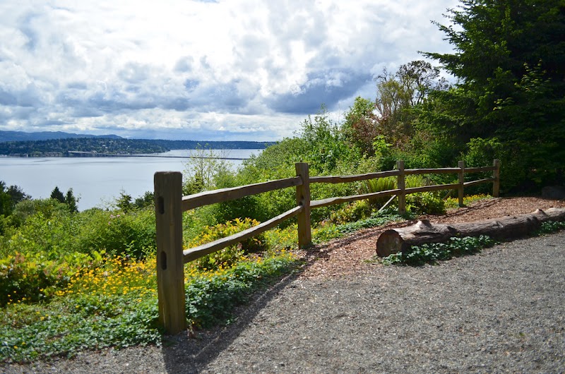 Leschi-Lake Dell Natural Area — Hiking with Kids in Seattle