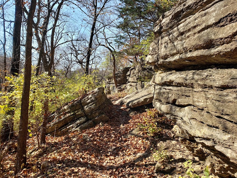 Swope Park Mountain Bike Trail — Hiking with Kids in Kansas City