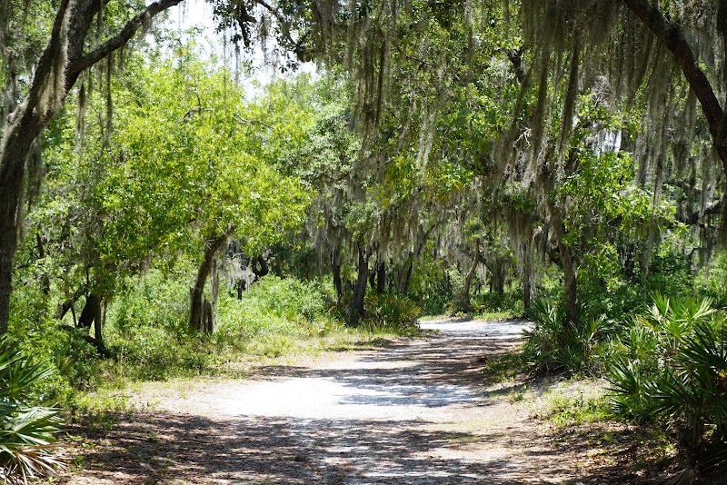 Split Oak Forest Wildlife and Environmental Area — Hiking with Kids in Orlando