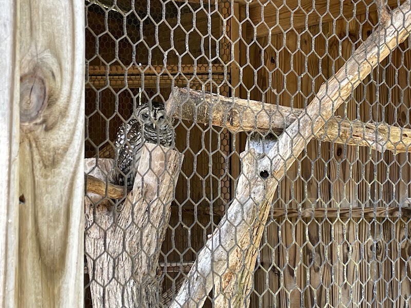 Owl's Hill Nature Sanctuary