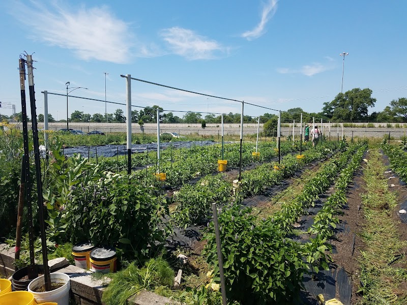 Legends Farm — Farms and Agritourism in Chicago