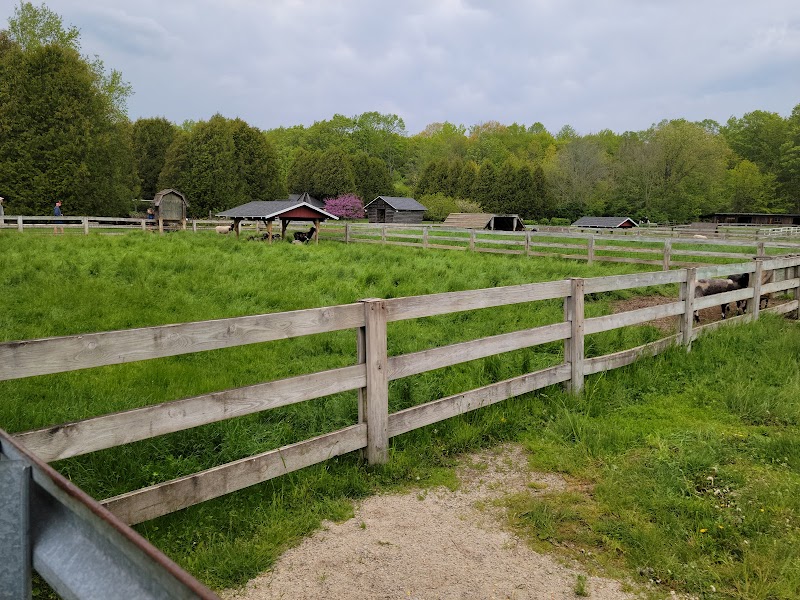 The Farm — Petting Zoos in Madison