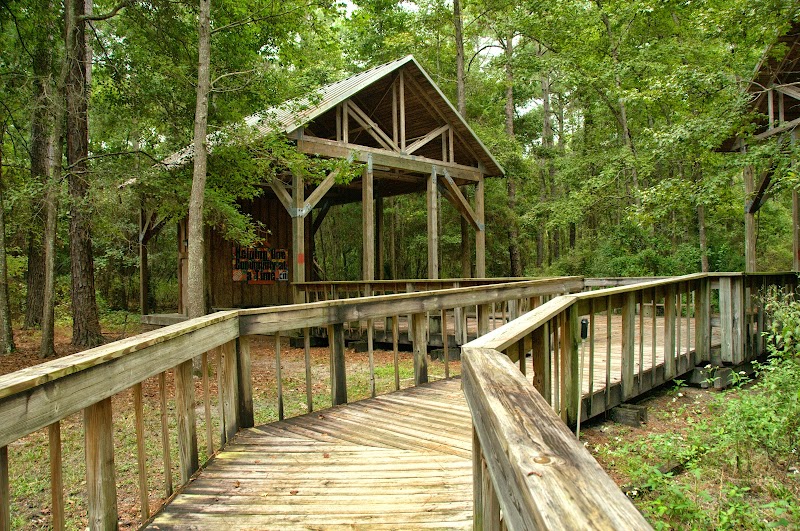 Tillie K. Fowler Regional Park — Hiking with Kids in Jacksonville