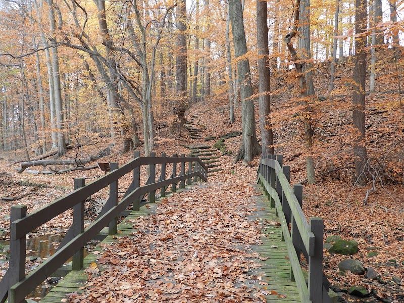 Garfield Park Reservation