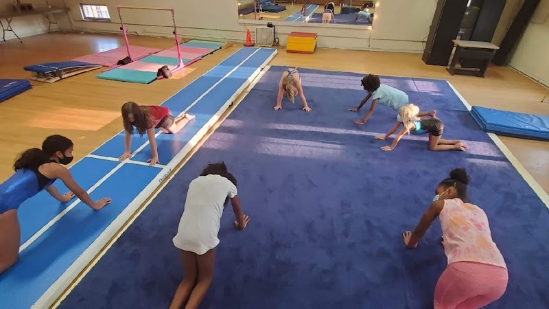 Flipz Gymnastics Academy — Indoor Gymnastics in Denver