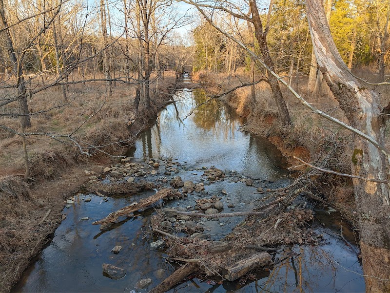 Brumley Nature Preserve Northern Part — Hiking with Kids in Durham