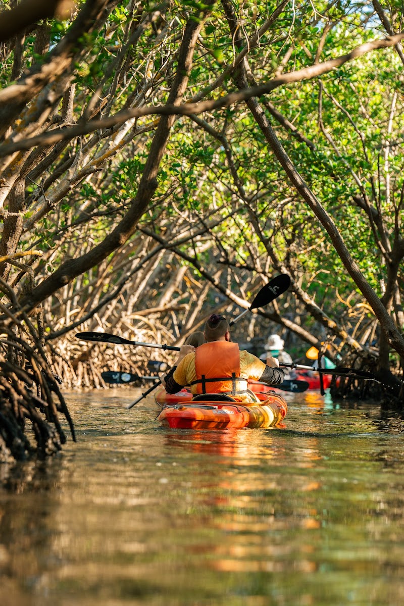 ECOmersion Kayak & SUP Rentals