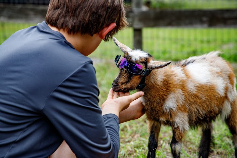 Oak Aged Farm — Petting Zoos in Orlando