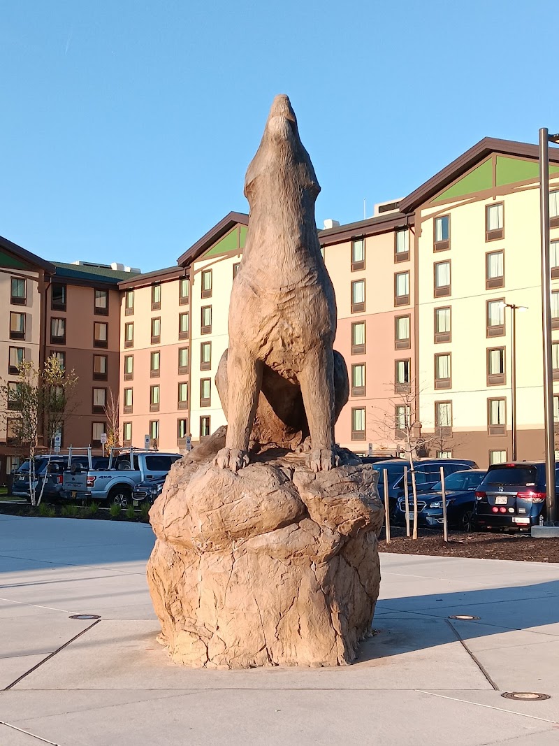Great Wolf Lodge Water Park | Perryville