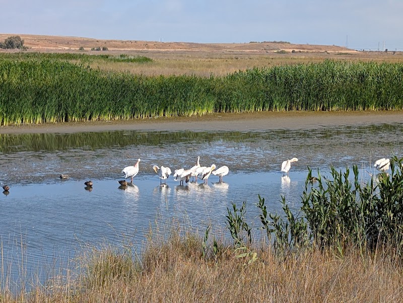 Baylands Nature Preserve