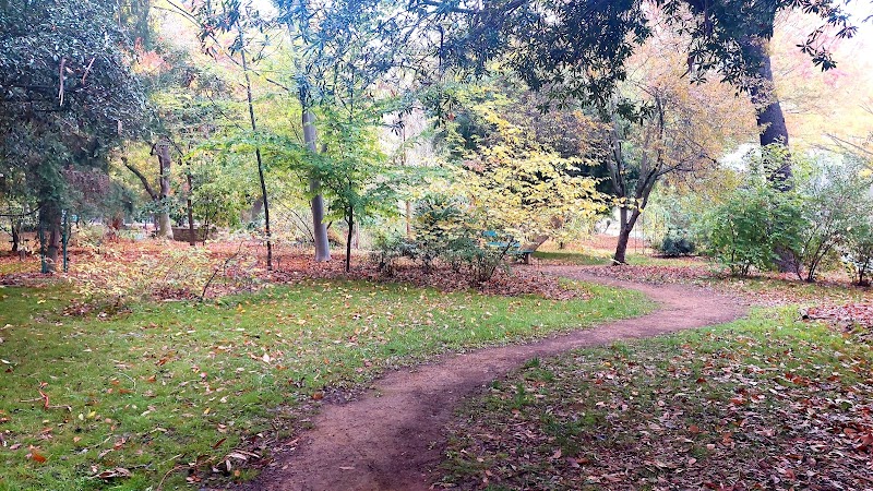 Sacramento State University Arboretum