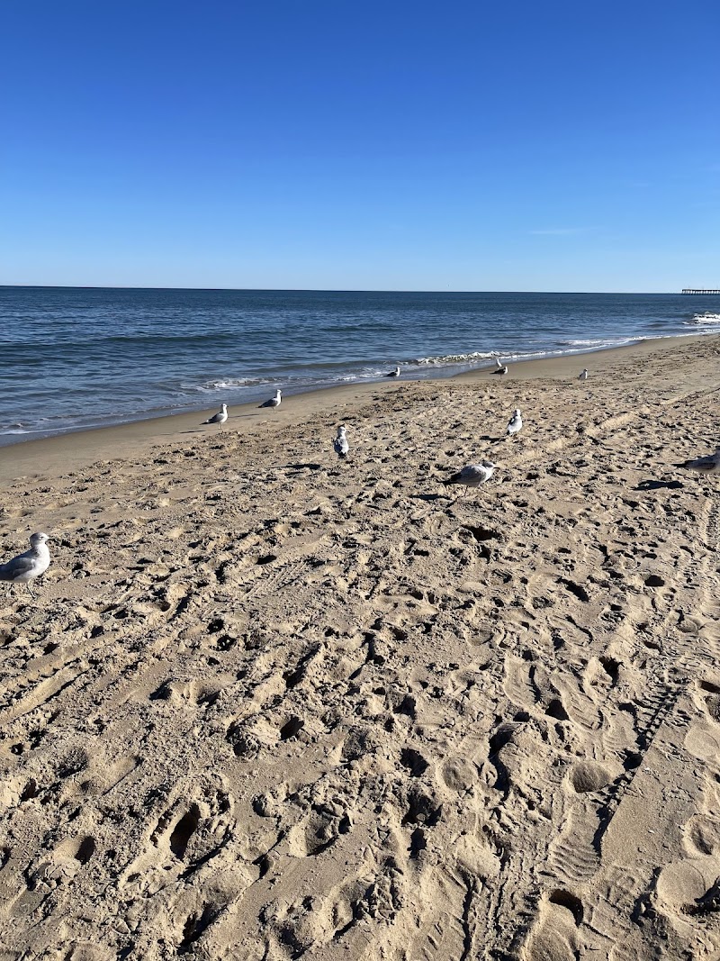 Virginia Kids Beach — Outdoor Sports for Kids in Virginia Beach