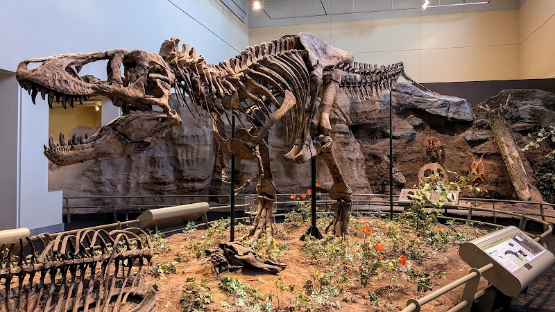 Carnegie Museum of Natural History
