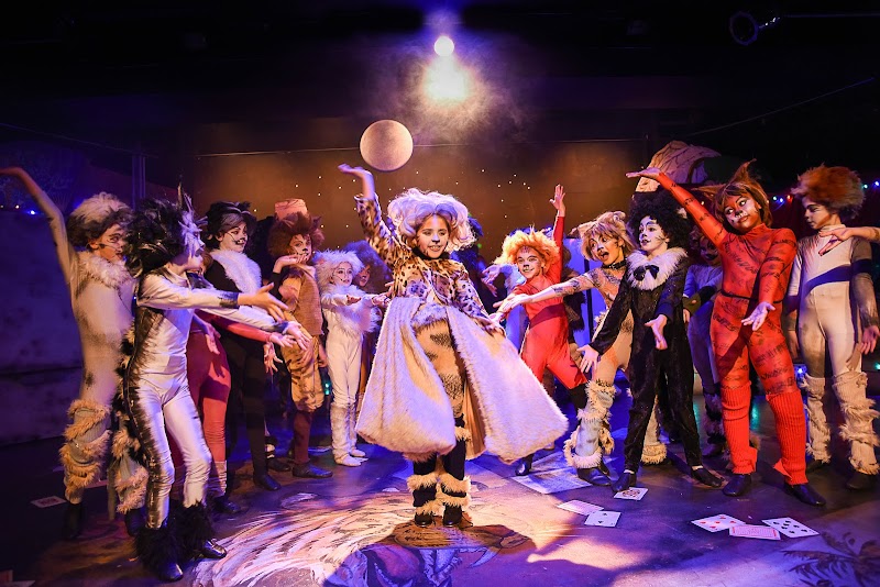 Youth Academy of Dramatic Arts