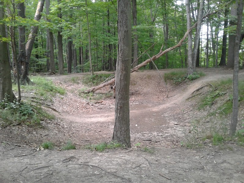 Tryon Park