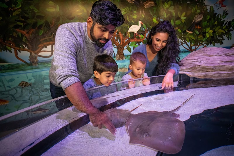 Aquarium of Niagara