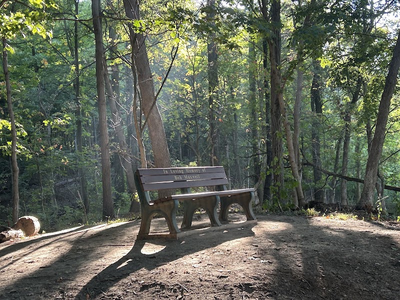 Bender Mountain Nature Preserve — Hiking with Kids in Cincinnati