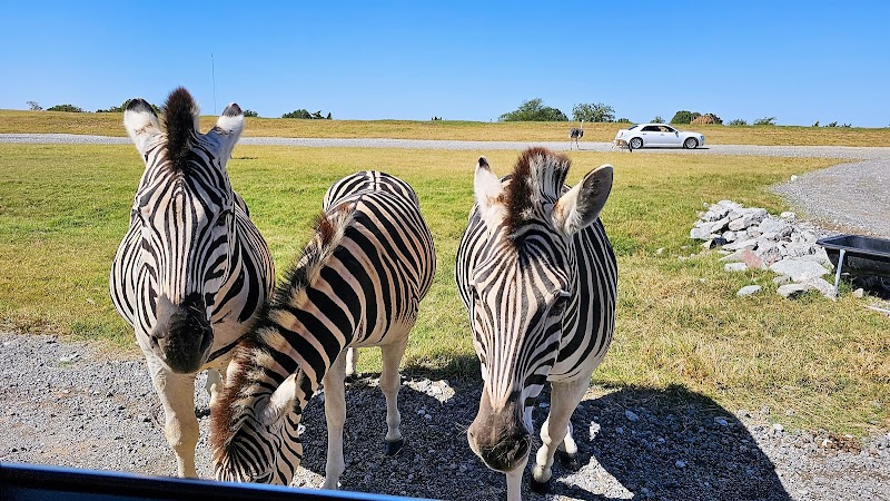 Tennessee Safari Park