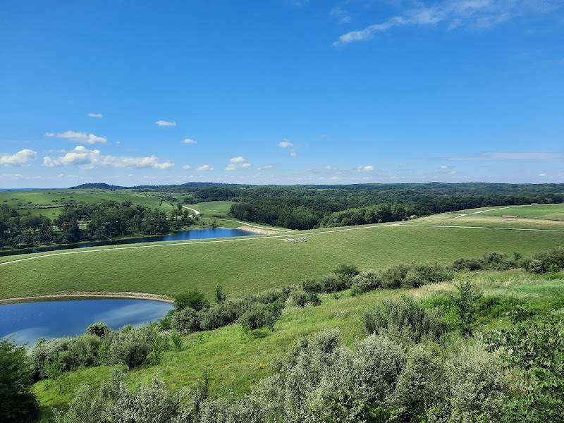 The Wilds