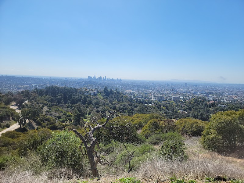 Glendale Peak — Hiking with Kids in Los Angeles