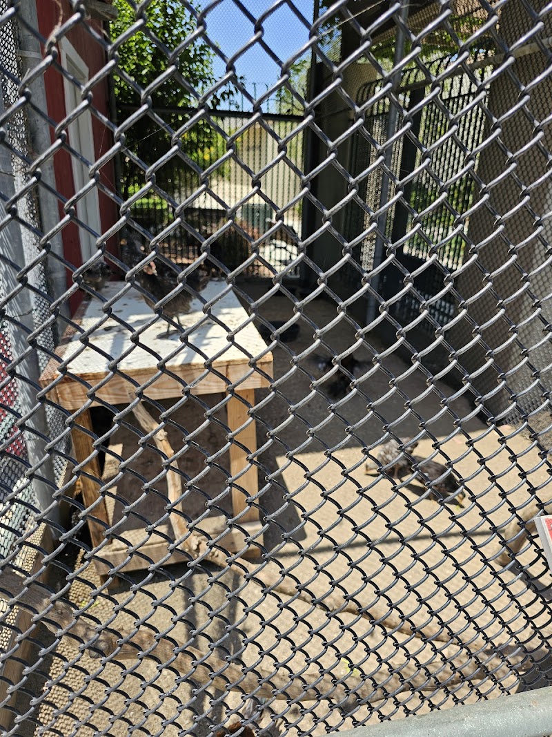 Parnell Storybook Zoo