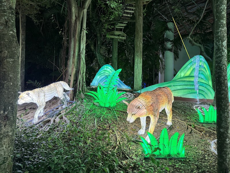 Luminosa: A World of Enchantment