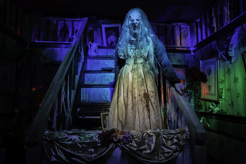 Haunted Web Scream Park