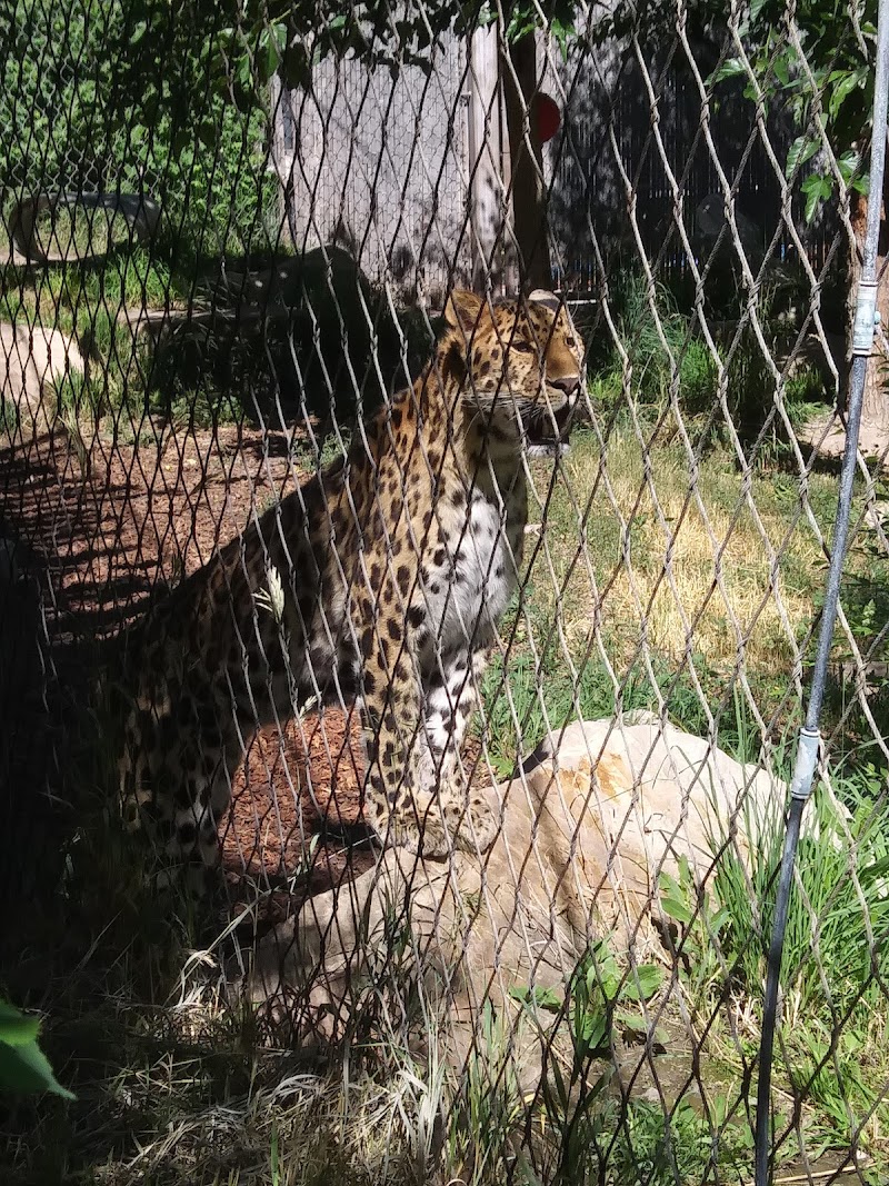 Lighthouse Point Splash Zone at Hogle Zoo