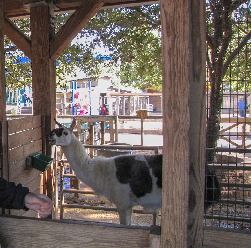 John P. McGovern Children's Zoo — Farms and Agritourism in Houston
