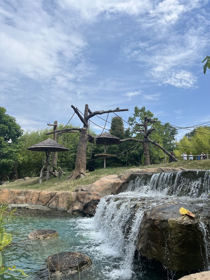 Pittsburgh Zoo — Petting Zoos in Pittsburgh