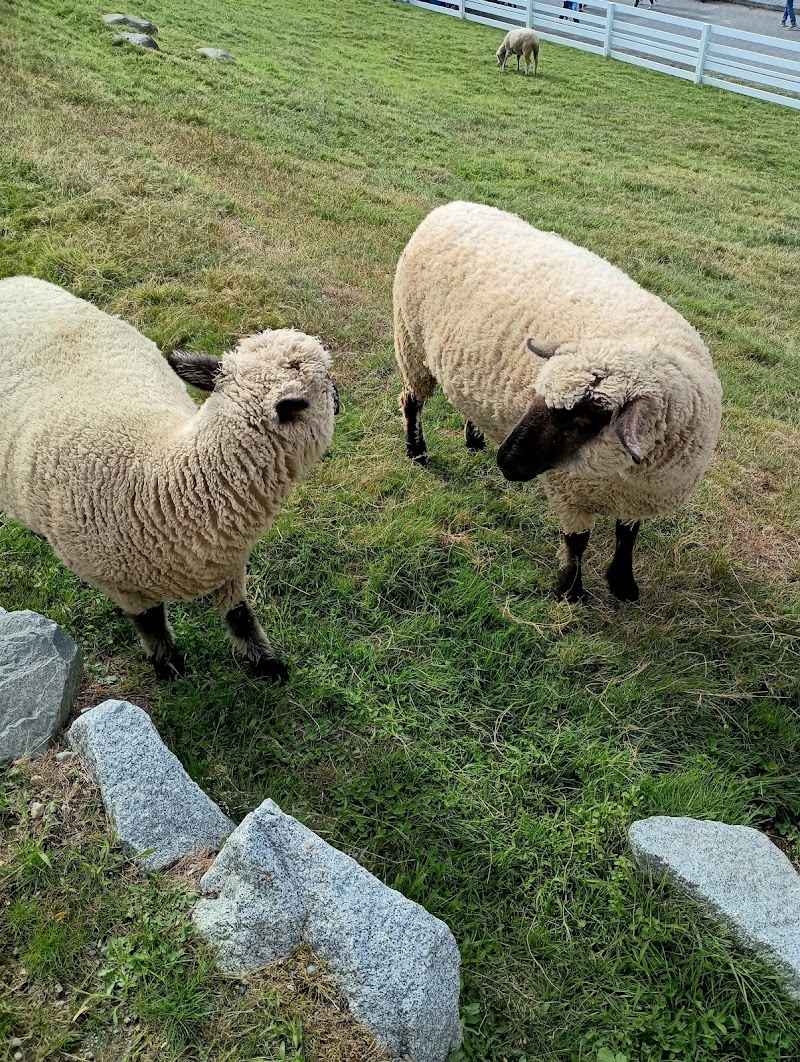 Kelsey Creek Farm