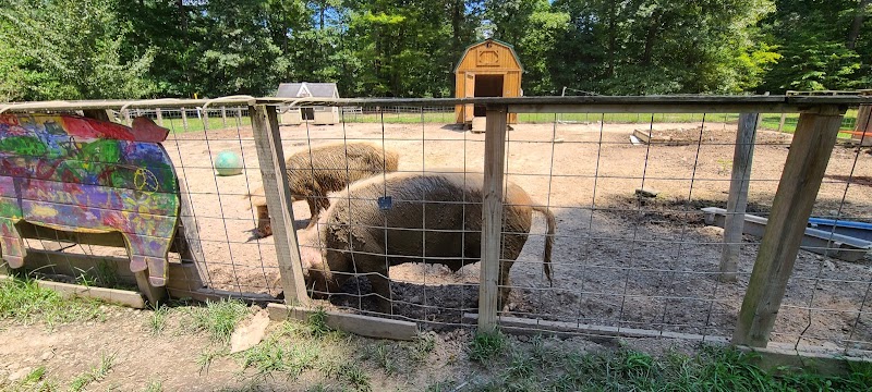 Loving Acres — Zoos for Kids in Richmond